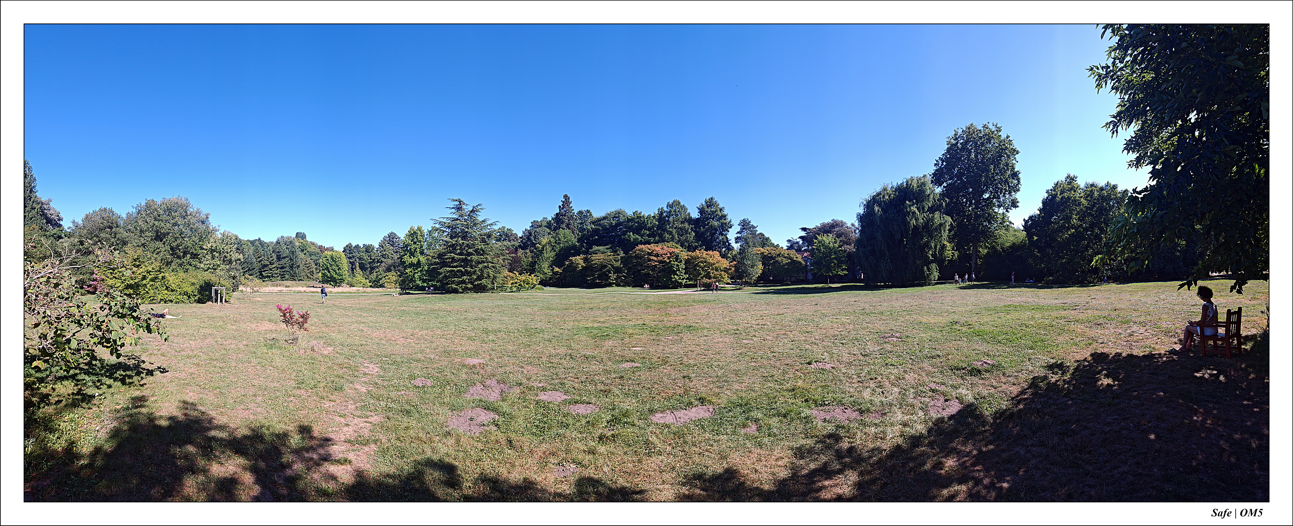 2025 - 08 - Vallée des loups - 45